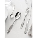 Alessi Duna cutlery set, 24 pcs, stainless steel, decoration image