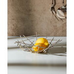 Alessi Blow Up basket, immagine decorativa Alessi Blow Up basket, immagine decorativa