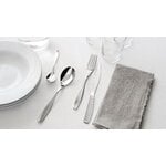 Alessi Duna cutlery set, 24 pcs, stainless steel, decoration image