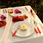 Sabre Paris Pop Unis dinner fork, burgundy, decoration image