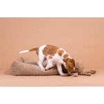 PAIKKA Boucle Bed koiranpeti, vaaleanruskea, näkymä 6