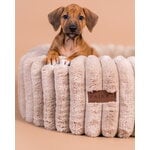 PAIKKA Orthopedic Plush Bed Round dog bed, taupe, decoration image