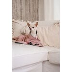 PAIKKA Recovery blanket, pink, decoration image