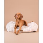 PAIKKA Treasure Bed koiranpeti, 95 x 75 cm, vaaleanpunainen, sisustuskuva