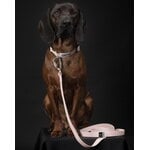 PAIKKA Glow leash, 2,5 x 180 cm, pale pink, decoration image