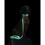 PAIKKA Glow collar, pale pink, decoration image