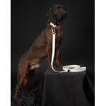 PAIKKA Glow leash, 2,5 x 180 cm, white, decoration image