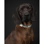 PAIKKA Collar Glow, blanco, imagen de decoración