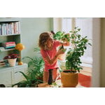 Fiskars Set completo per la cura delle piante, 3 pezzi, verde - nero, immagine decorativa