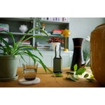 Fiskars Sécateur Plant Care avec support, vert - noir, image décorative