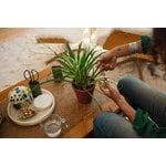 Fiskars Set completo per la cura delle piante, 3 pezzi, verde - nero, immagine decorativa