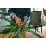 Fiskars Plant Care kasvien kastelujärjestelmä, vihreä - musta, sisustuskuva