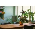 Fiskars Plant Care kasvien kastelujärjestelmä, vihreä - musta, sisustuskuva