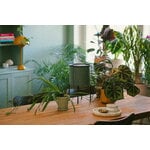 Fiskars Plant Care kasvien kastelujärjestelmä, vihreä - musta, sisustuskuva