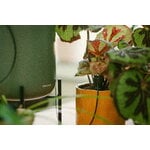 Fiskars Plant Care kasvien kastelujärjestelmä, vihreä - musta, sisustuskuva