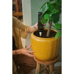 Fiskars Plant Care kastelupiikki viherkasveille, vihreä - musta - valkoinen, sisustuskuva
