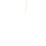 Fiskars X-Series weed puller, decoration image