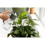 Fiskars Arrosoir Plant Care mist and pour, vert - transparent, image décorative