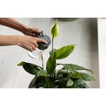 Fiskars Arrosoir Plant Care mist and pour, vert - transparent, image décorative