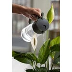Fiskars Arrosoir Plant Care mist and pour, vert - transparent, image décorative
