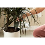 Fiskars Arrosoir Plant Care mist and pour, vert - transparent, image décorative