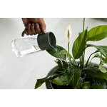 Fiskars Plant Care watering carafe, green - clear, decoration image