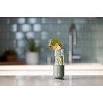 Fiskars Plant Care support de propagation, 1 pc, vert - transparent, image décorative