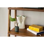 Fiskars Plant Care support de propagation, 1 pc, vert - transparent, image décorative