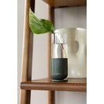 Fiskars Plant Care support de propagation, 1 pc, vert - transparent, image décorative