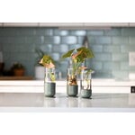 Fiskars Plant Care pistokkaiden idätyslasi, 3 kpl, vihreä - kirkas, näkymä 13