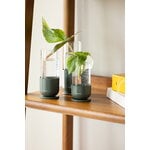 Fiskars Plant Care pistokkaiden idätyslasi, 3 kpl, vihreä - kirkas, näkymä 6