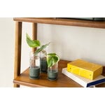 Fiskars Plant Care pistokkaiden idätyslasi, 3 kpl, vihreä - kirkas, näkymä 12