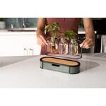 Fiskars Plant Care propagation station, green - black - clear, decoration image