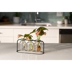 Fiskars Plant Care propagation station, green - black - clear, decoration image
