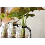 Fiskars Plant Care propagation station, green - black - clear, decoration image