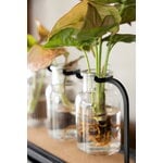 Fiskars Plant Care propagation station, green - black - clear, decoration image