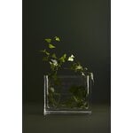 Nedre Foss Vase Monoblokk, verre transparent