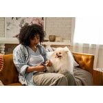 Fiskars Fiskars small nail clippers for pets, decoration image