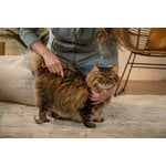 Fiskars Fiskars dematting rake for pets, decoration image