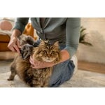 Fiskars Fiskars dematting rake for pets, decoration image