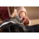 Fiskars Fiskars dematting rake for pets, decoration image