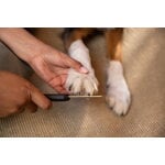 Fiskars Fiskars nail file for pets, decoration image