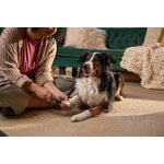 Fiskars Fiskars nail file for pets, decoration image