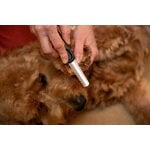 Fiskars Fiskars nail file for pets, decoration image