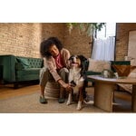 Fiskars Fiskars slicker brush for pets, decoration image