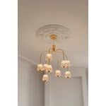 Nuura Lampada a sospensione Asteea 9, ottone satinato - vetro chiaro a onda, immagine decorativa