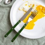 Sabre Paris Bistrot Solid dinner fork, green, decoration image