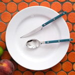 Sabre Paris Bistrot Solid dinner knife, aquamarine, decoration image