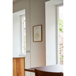 Paper Collective The Pavlova poster, decoration image