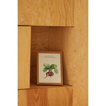 Paper Collective The Beetroots poster, decoration image